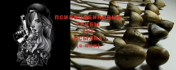 ALPHA PVP Беломорск