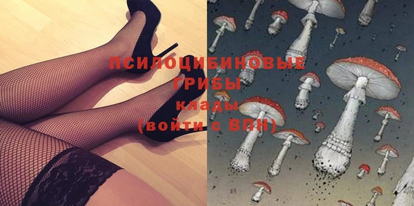 ALPHA PVP Беломорск