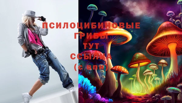 ALPHA PVP Беломорск