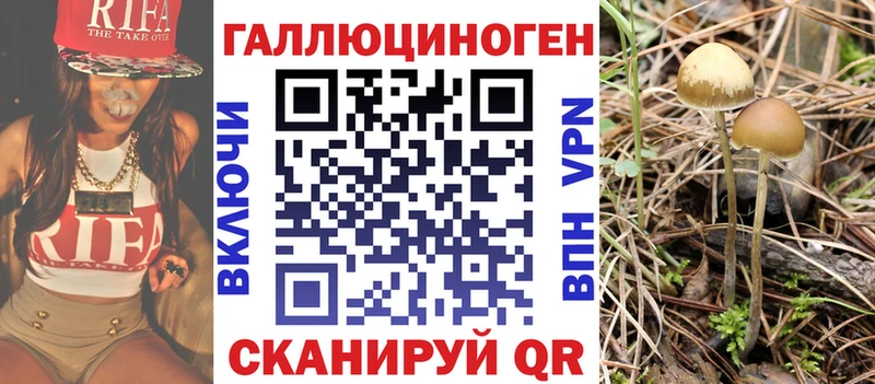 Псилоцибиновые грибы мицелий  Купить  Первомайск 